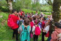 IMG_20230427_161614
