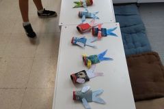 IMG_20211019_155304_opt