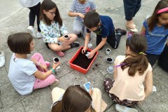 IMG_20220523_113721