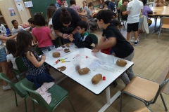 IMG_20220531_113419