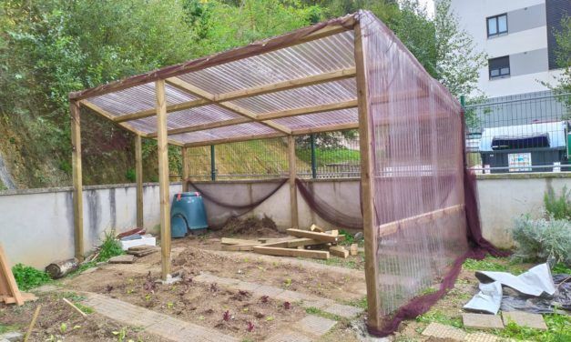 «NUEVO» HUERTO ESCOLAR